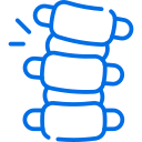 backbone