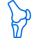 knee-joint